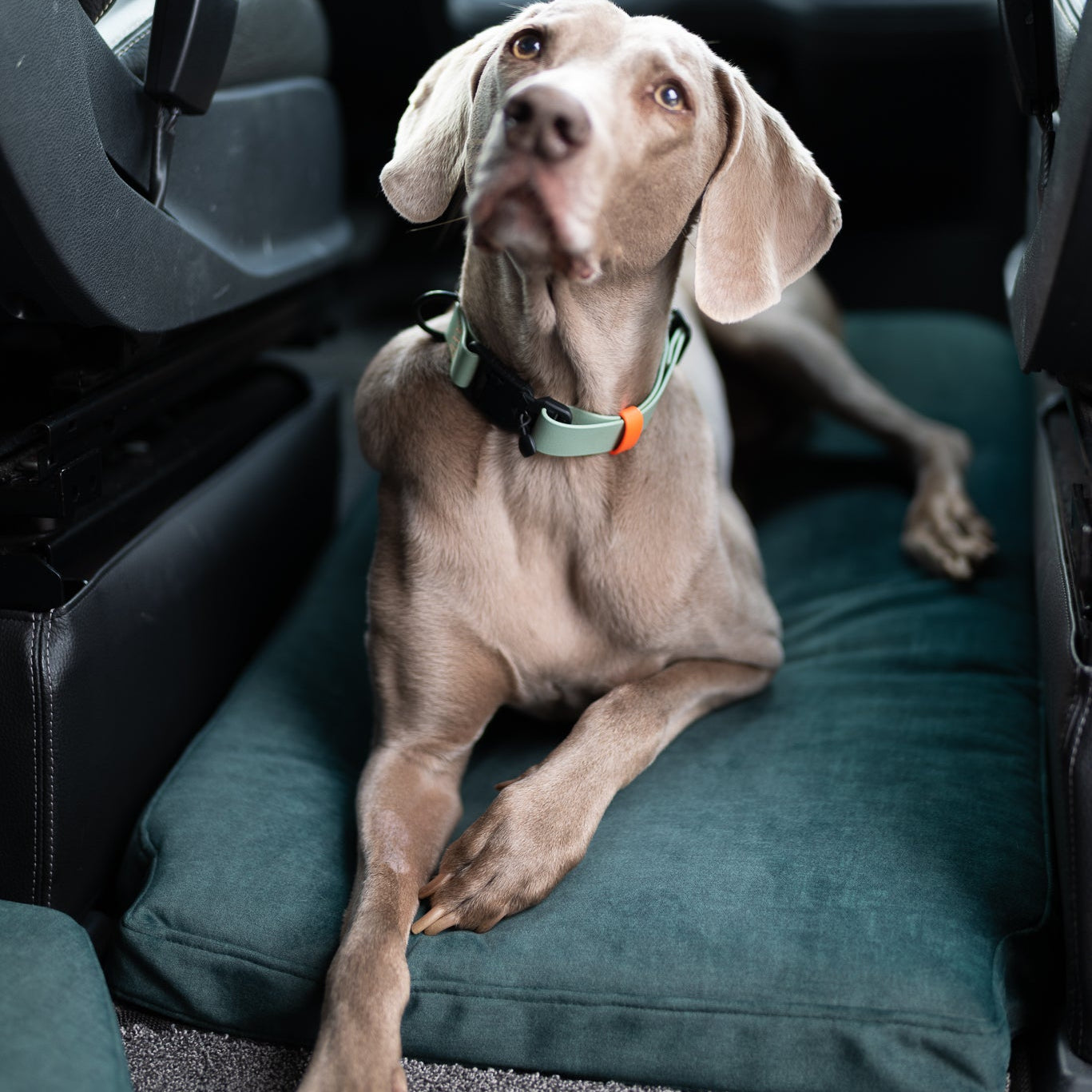 Bergbrise Dogs Copilot zwischen den Vordersitzen  – Orthopädisches Hundekissen im Wohnmobil & Camper