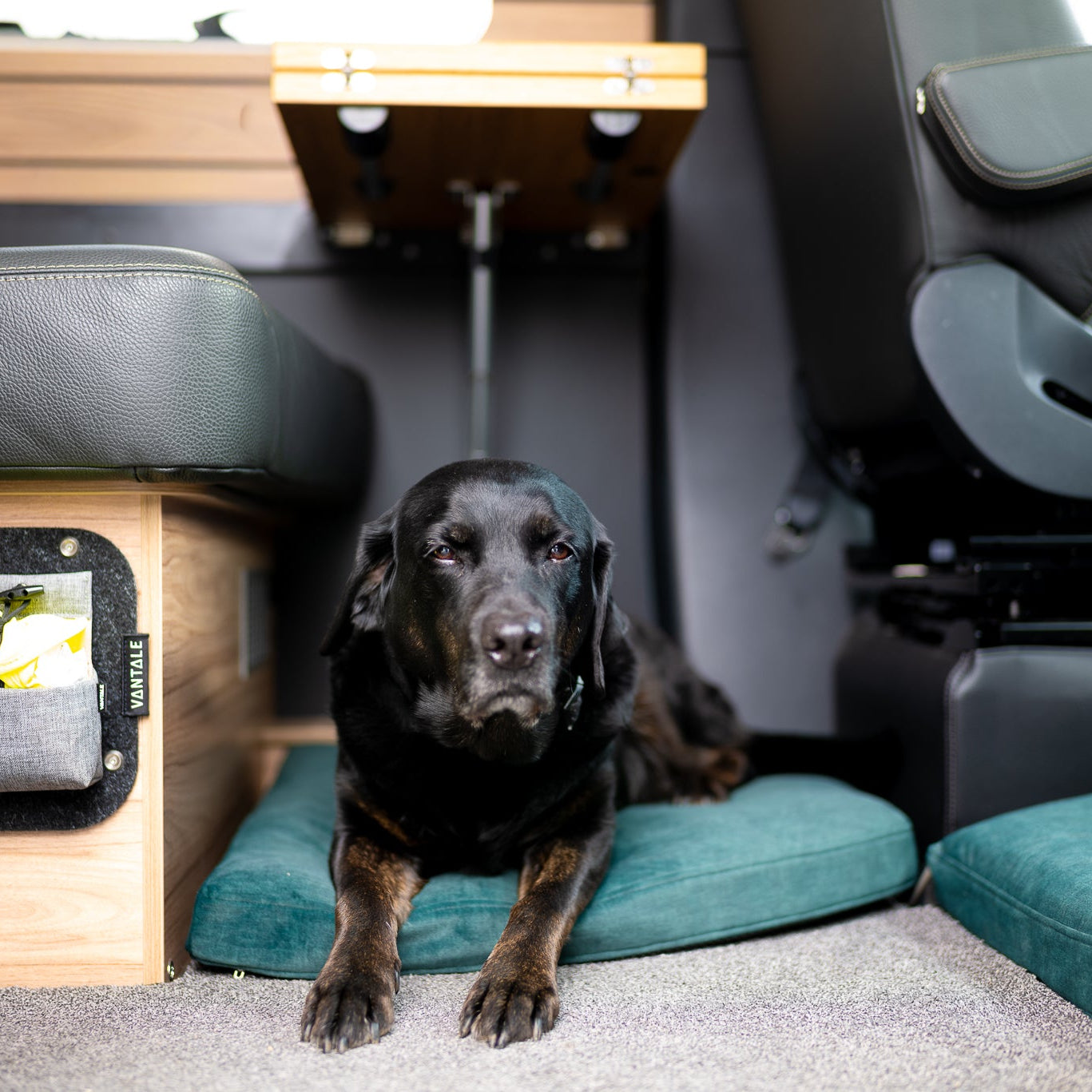 Bergbrise Dogs Ankerplatz für die Dinette – Orthopädisches Hundekissen im Wohnmobil & Camper