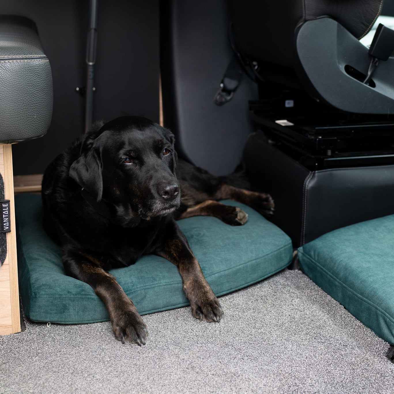 Bergbrise Dogs Ankerplatz für die Dinette – Orthopädisches Hundekissen im Wohnmobil & Camper